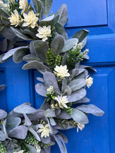 Load image into Gallery viewer, Agnello