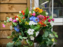 Load image into Gallery viewer, Hanging Baskets