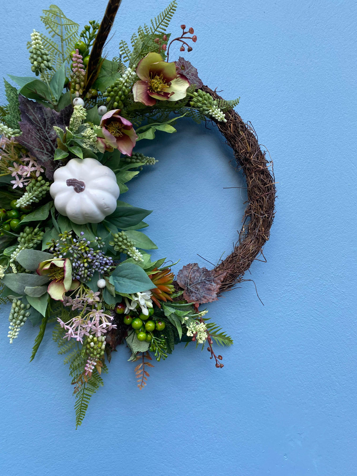 Fern