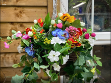 Load image into Gallery viewer, Hanging Baskets
