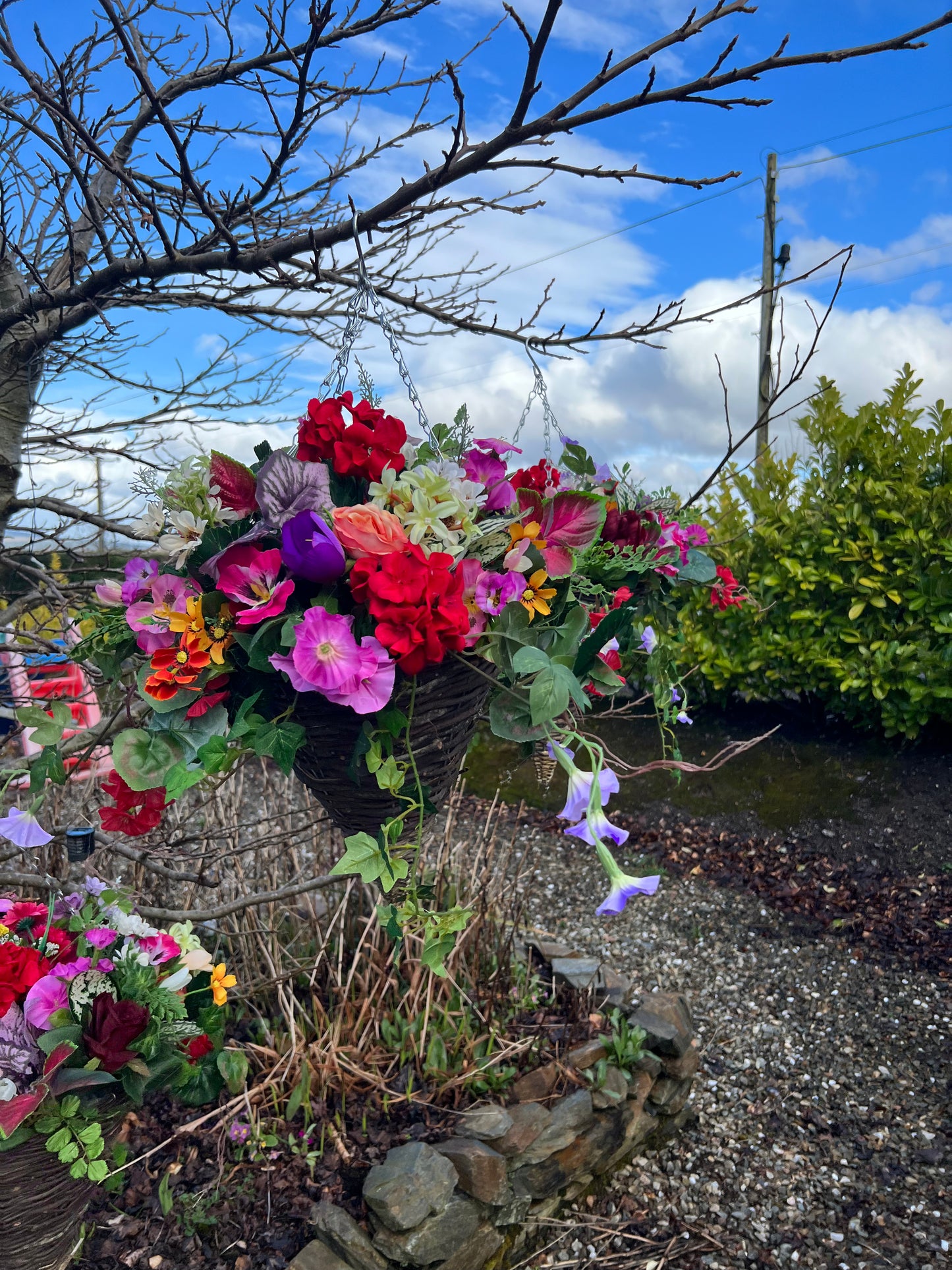 Hanging Baskets