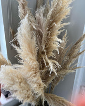 Load image into Gallery viewer, Pink pampas grass
