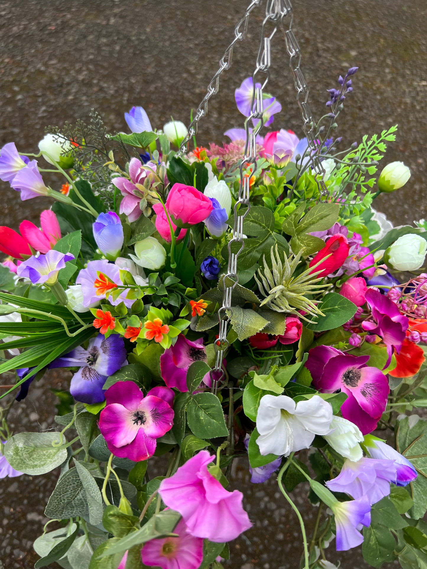 Hanging Baskets