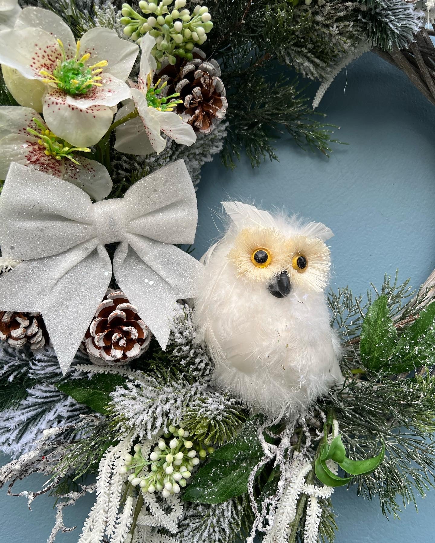 Snowy Owl