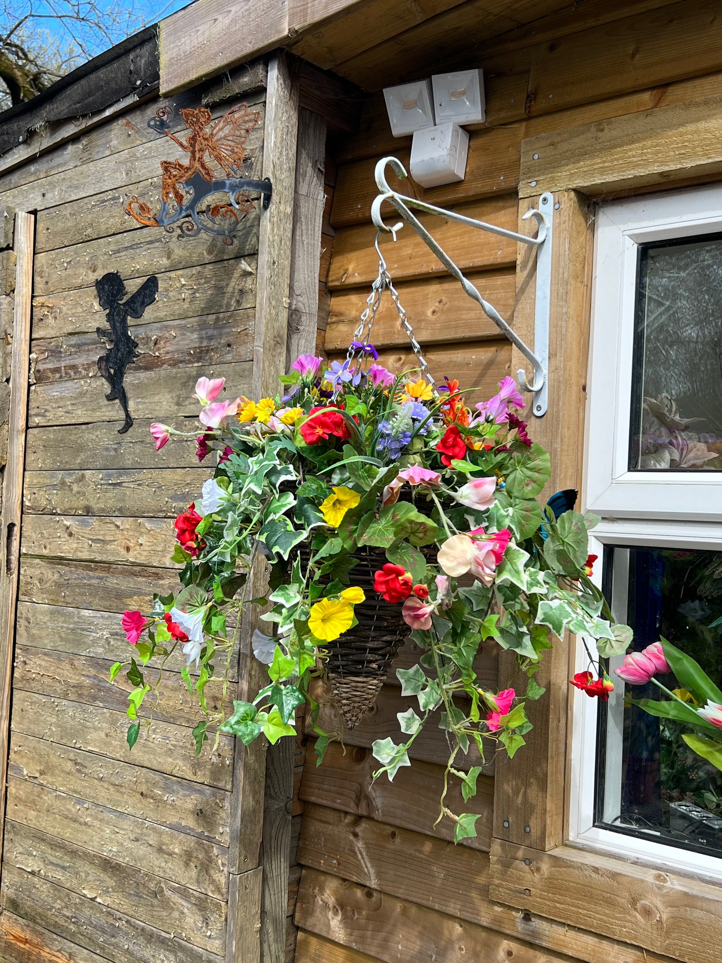 Hanging Baskets